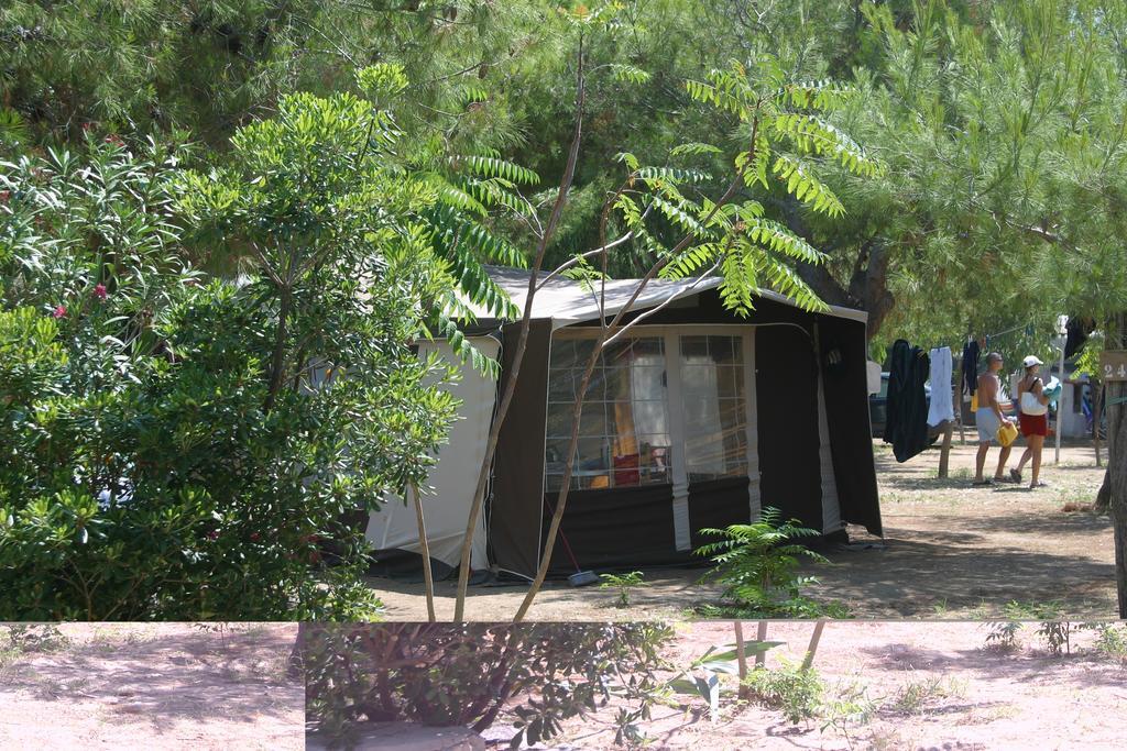 Camping Village Baia Falcone 维耶斯泰 外观 照片
