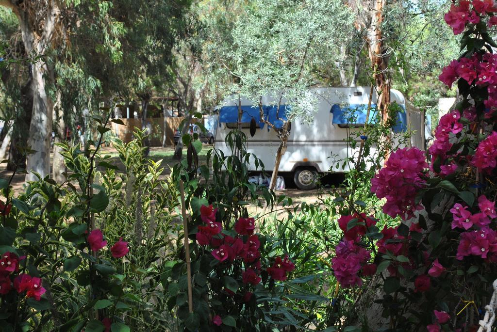 Camping Village Baia Falcone 维耶斯泰 外观 照片