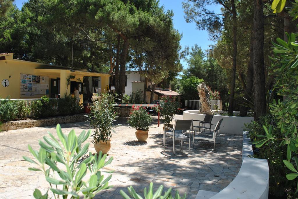 Camping Village Baia Falcone 维耶斯泰 外观 照片