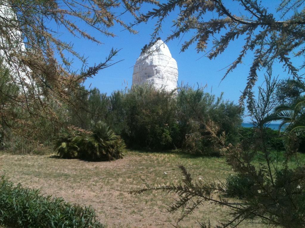 Camping Village Baia Falcone 维耶斯泰 外观 照片